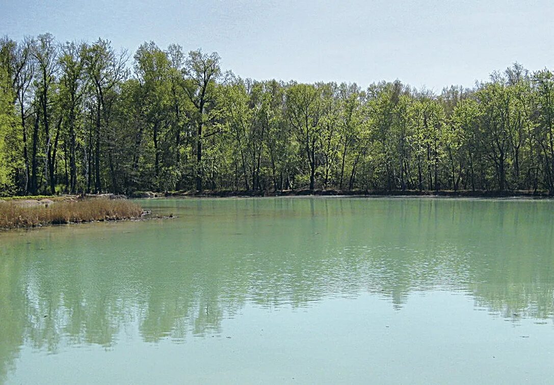 Самара санаторий минеральные воды. Сергиевские Минеральные воды серное озеро. Серное озеро Самара. Сергиевские Минеральные воды санаторий Самара. Серное озеро Самарская область Сергиевский район.