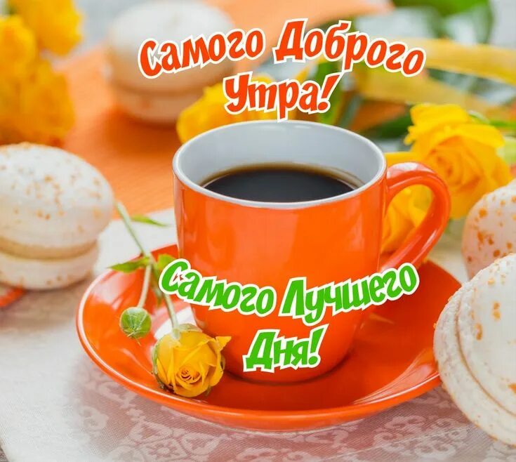 Каким может быть доброе утро. Каким может быть доброе утро