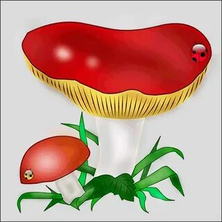 Гриб сыроежка картинка для детей