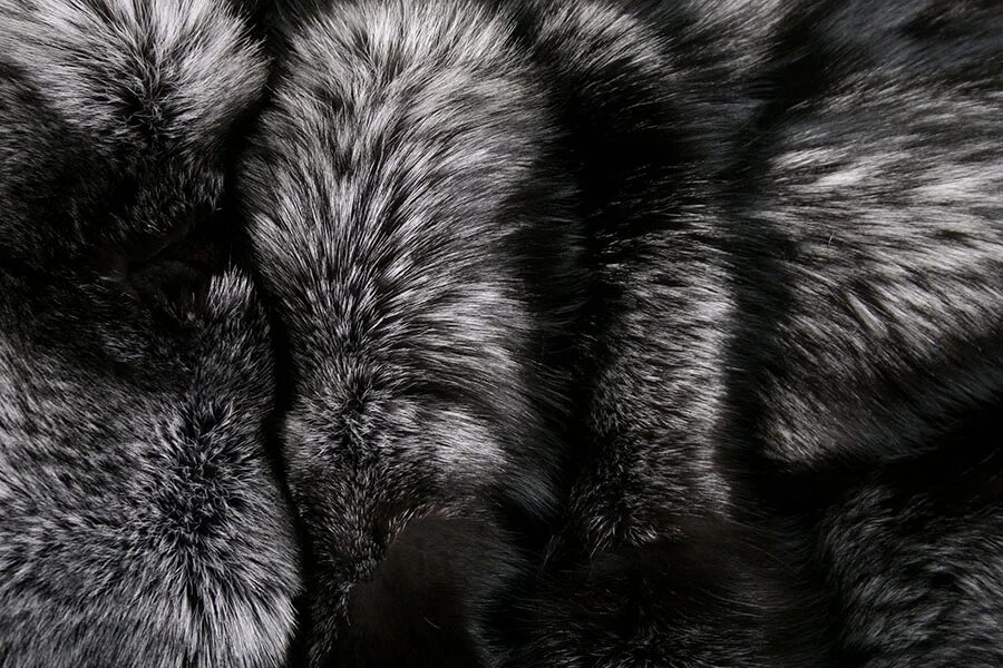 Мех чернобурки. Жилет из чернобурой лисы. Натуральный мех чернобурки. Натуральный мех чернобурки. Мех чернобурки saga furs.