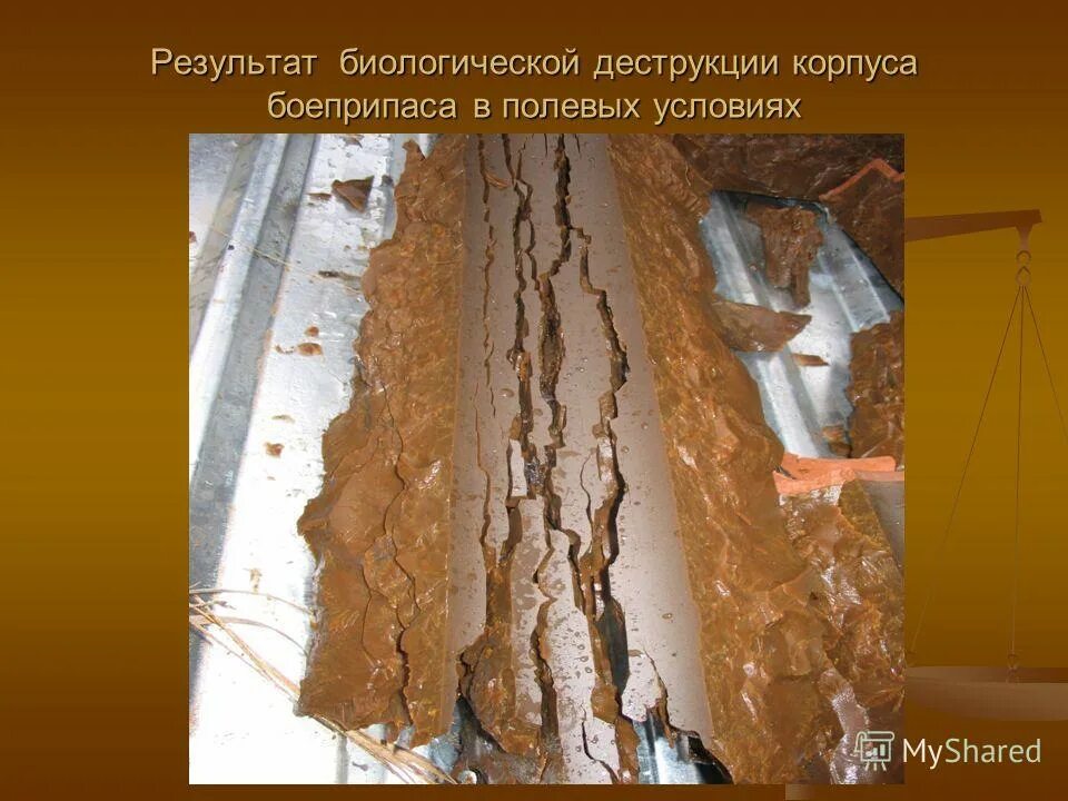 деструкция это в биологии. биоповреждения бетона. термическая деструкция полимеров примеры. остеохондропатия пястных костей. гигантолеточная опухоль кисти рентген.