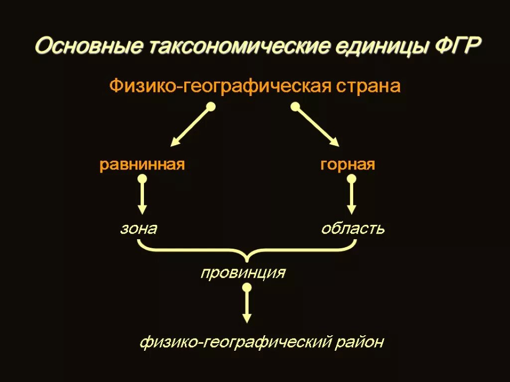 Какая таксономическая единица отсутствует у животных