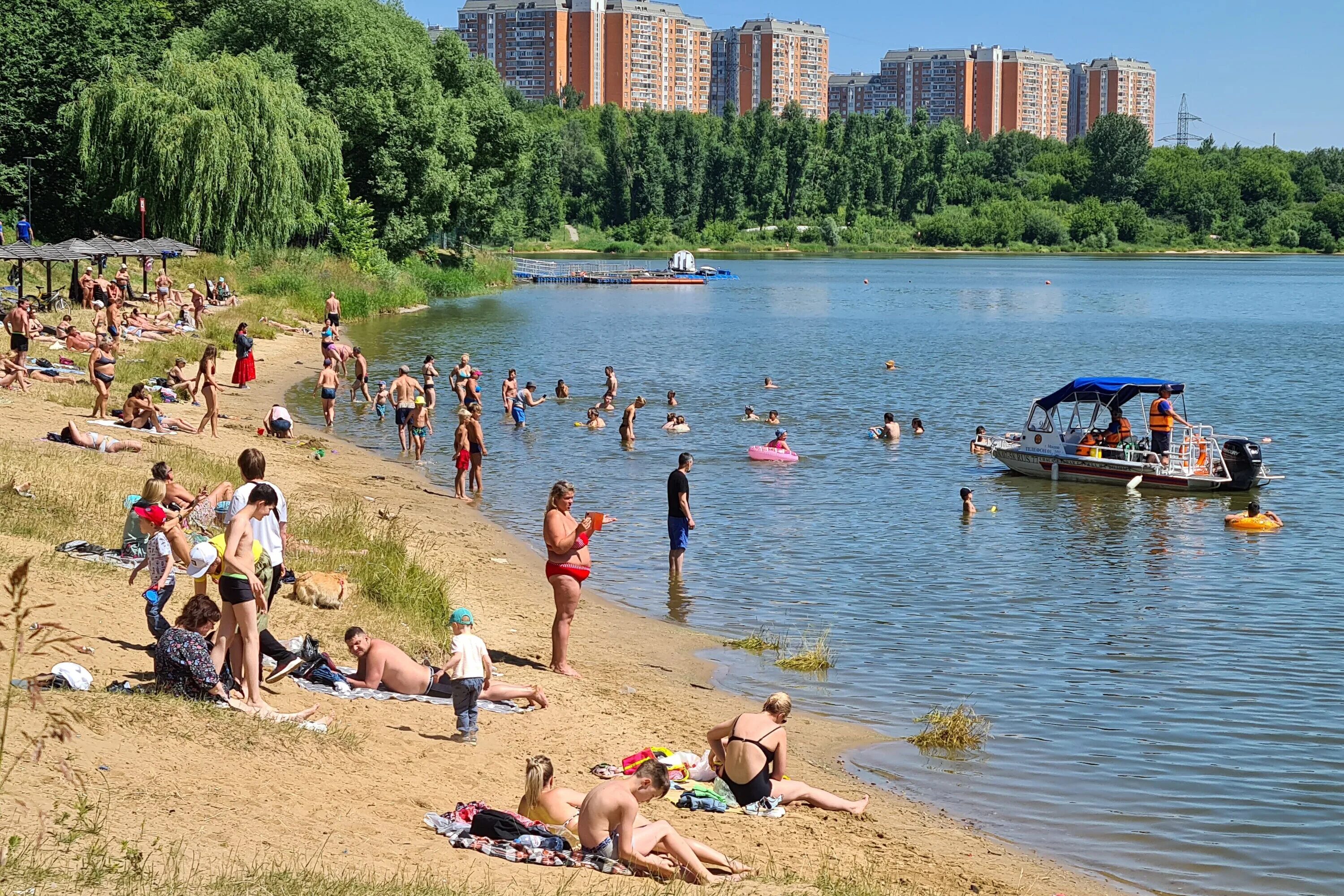 Омск пляж. Иртыш омск пляж. Берег иртыша омск. Берег иртыша омск. Новолипецкий пляж липецк.