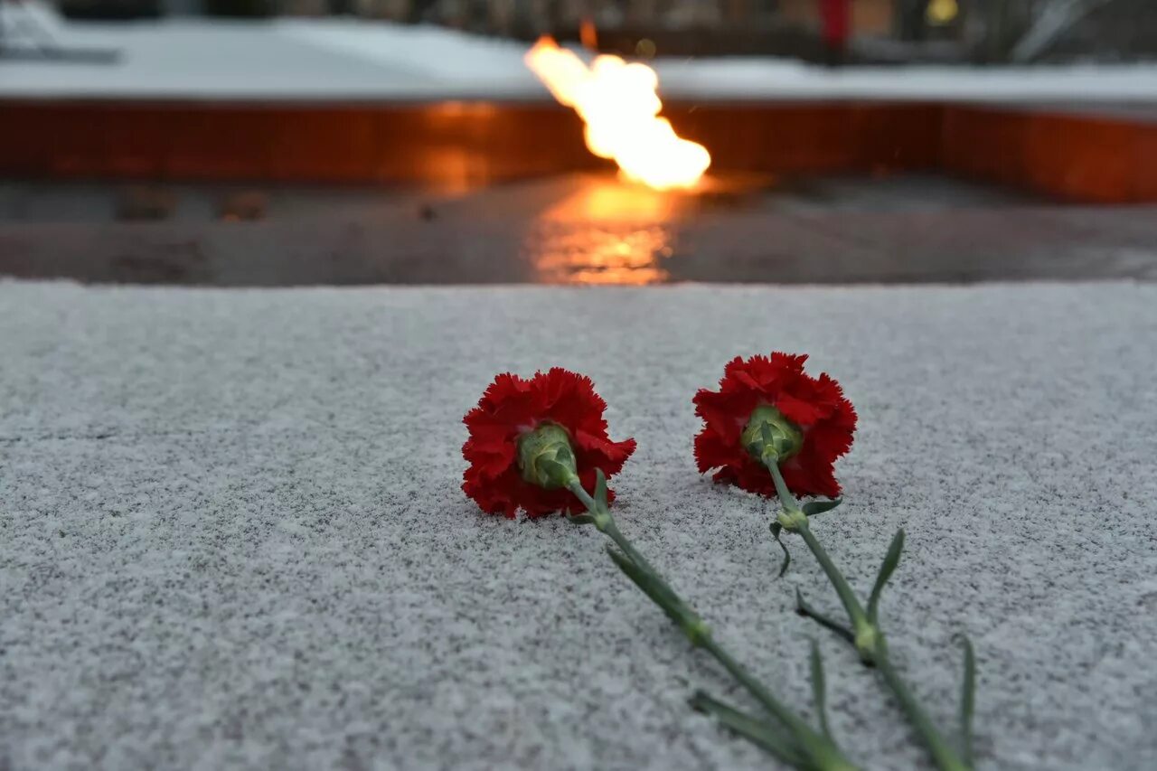 Гвоздики возложение. Возложение цветов. Гвоздики монумент. Гвоздики у обелиска.