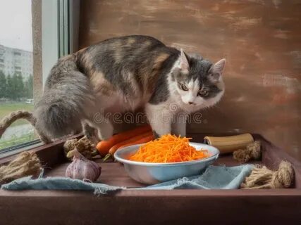 Cat vegetables