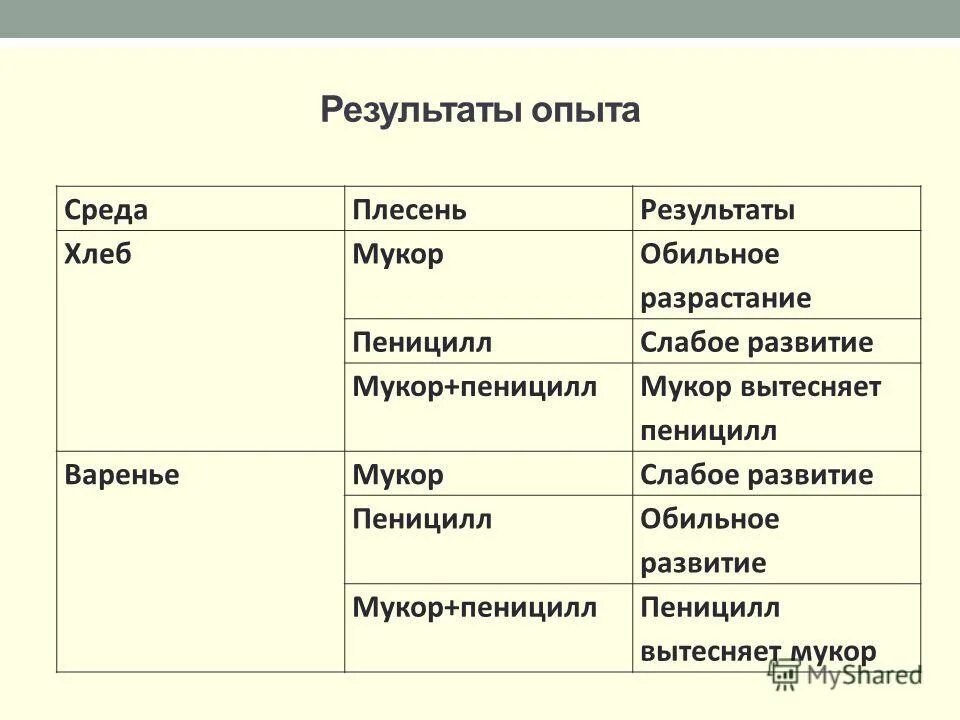 Чем строение пеницилла отличается от хлебных дрожжей. Сравнительная характеристика мукора и пеницилла 5 класс. Мукор пеницилл дрожжи таблица. Различия мукора и пеницилла. Сходства и отличия мукора и пеницилла.