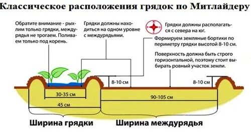 Грядки на участке по сторонам света. Грядки в теплице расположение грядок. Грядки по Митлайдеру. Ширина грядки по Митлайдеру. Ширина грядки.