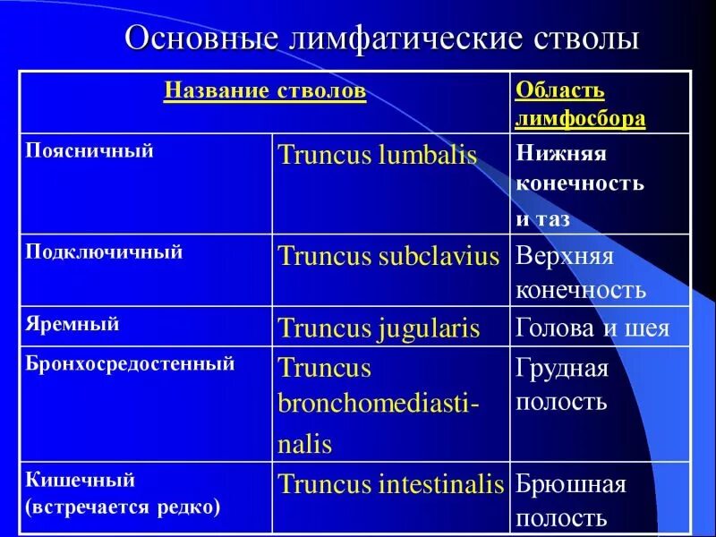 Лимфатические сосуды таблица. Лимфатическая система таблица. Органы лимфатической системы таблица. Функции лимфатической системы человека таблица.