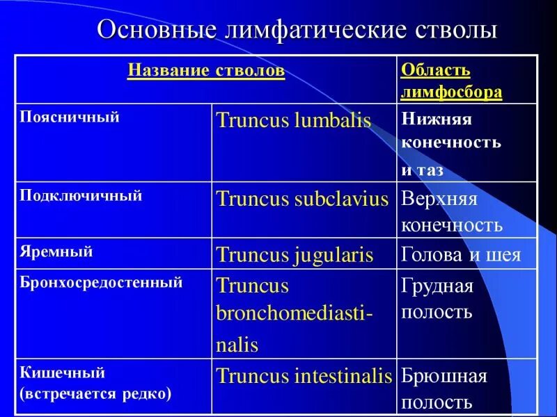 Лимфатическая система таблица. Лимфатические сосуды таблица. Органы лимфатической системы таблица. Функции лимфатической системы человека таблица. Лимфатические узлы таблица