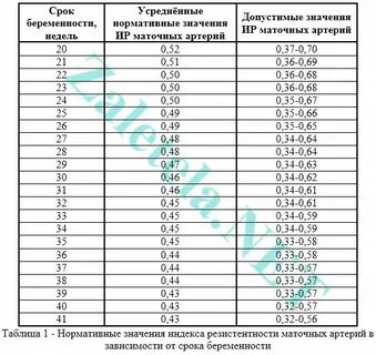 Нормы допплерометрии при беременности по неделям таблица