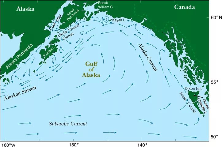 Течение Аляска на карте. Течение Куросио. Теплое течение Аляска на карте.