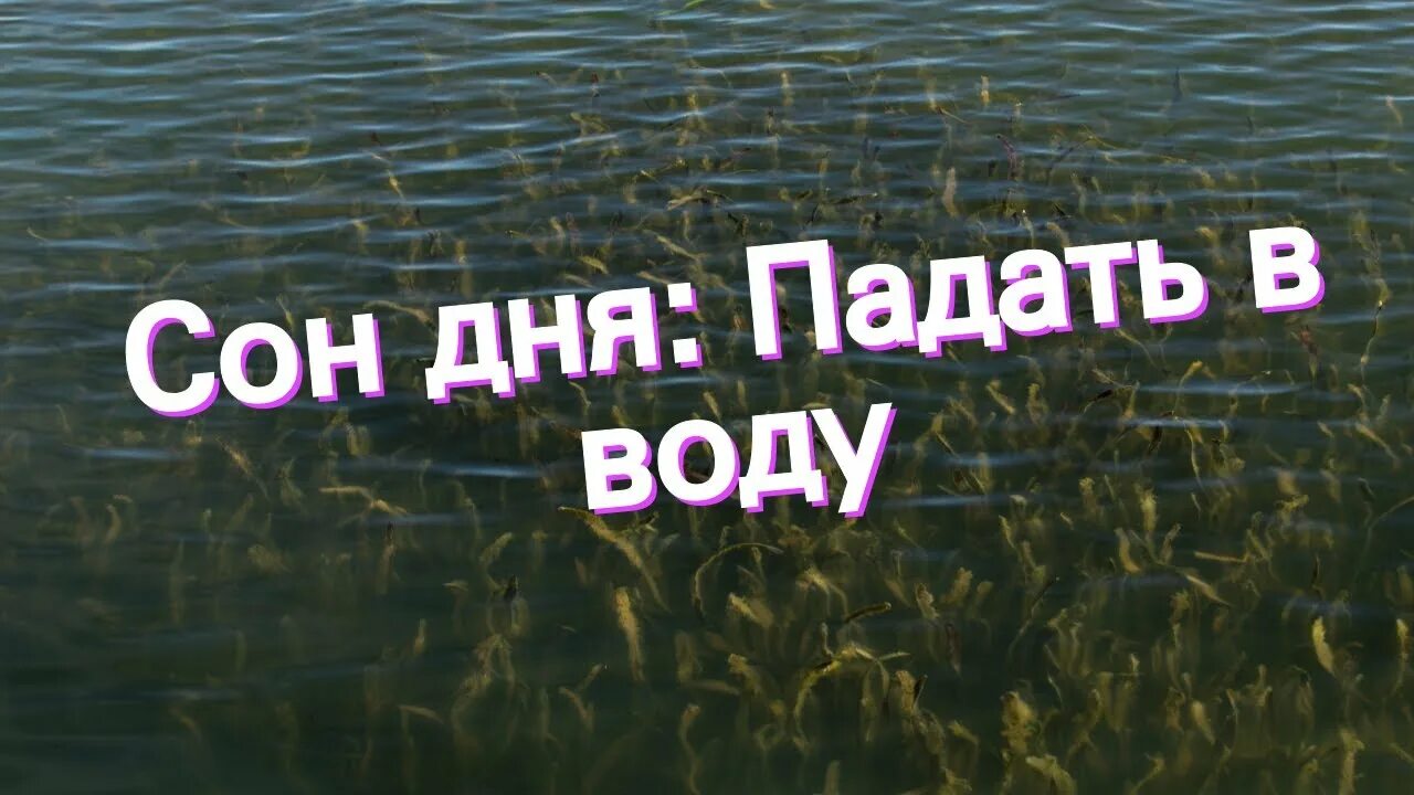 К чему снится падение. К чему снится падение в воду. К чему снится как падаешь в воду. К чему снится дом упавший в реку. К чему снится падать в воду