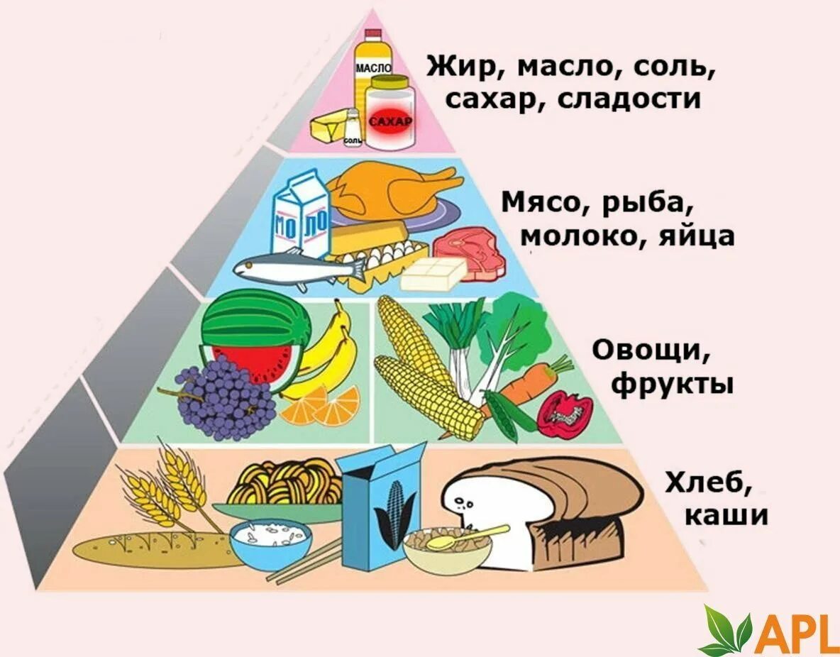 Пищевая пирамида питания. Пирамида рационального питания. Пирамида здорового питания для детей. Пирамида питания биология.