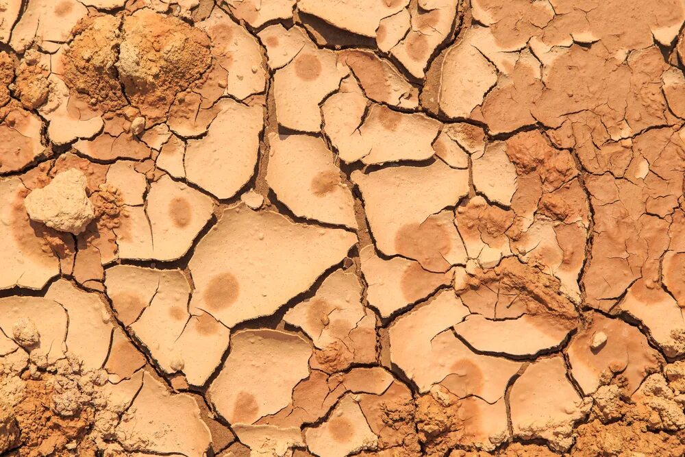 глина сохнет. глина сохнет. засохшая глина красная. глинистый цемент. раствор из глины для печи.