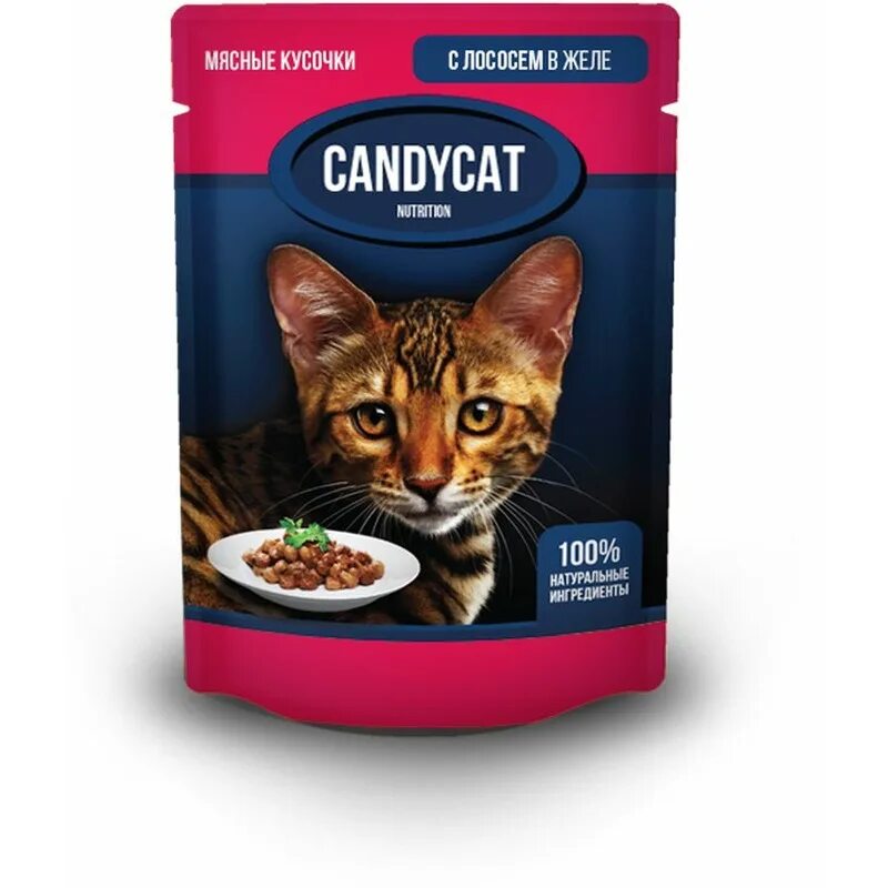 Award влажный корм для кошек. Кэнди Кэт корм. Candycat влажный корм. Корм д/кошек с говядиной в соусе 85г пауч. Корм Канди для кошек.