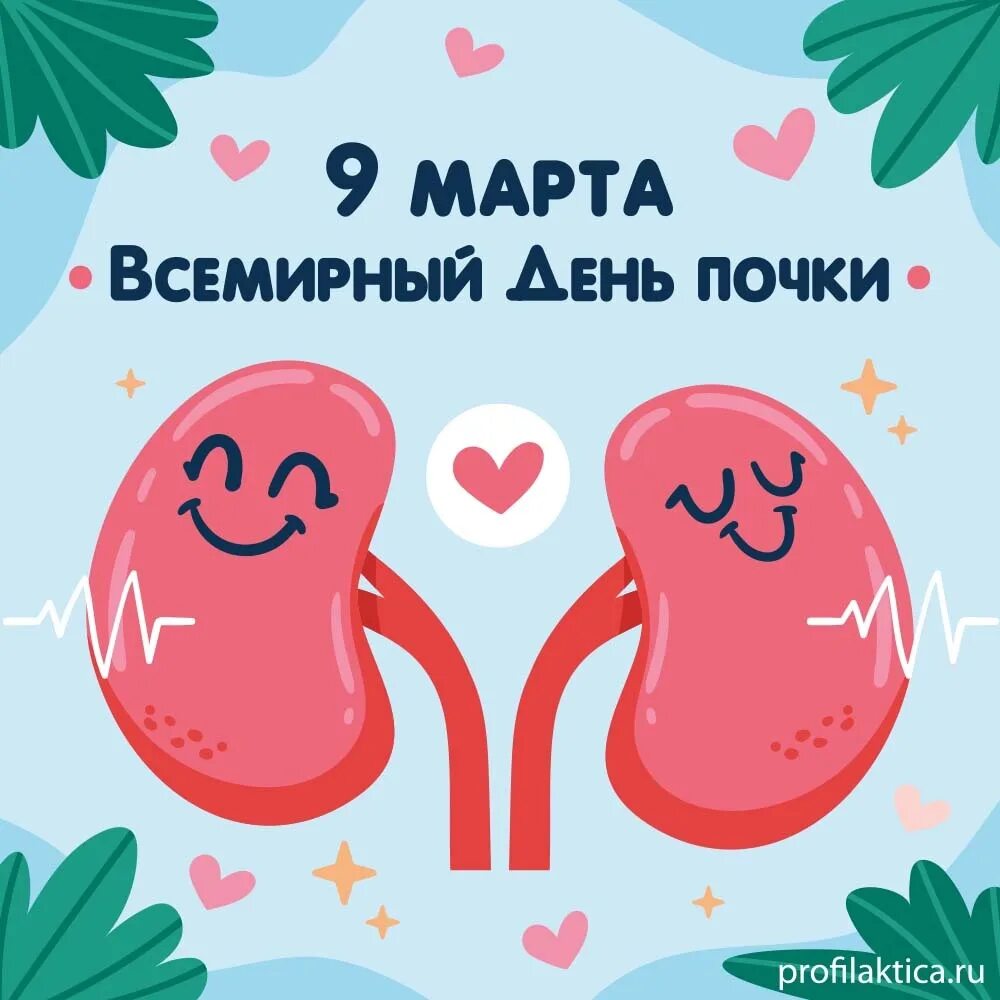 Почечная вена анатомия. Почка 9. Сосуды в почке пересекаются. Заболевания почек у детей. Мочевыделительная система почка в разрезе анатомия.