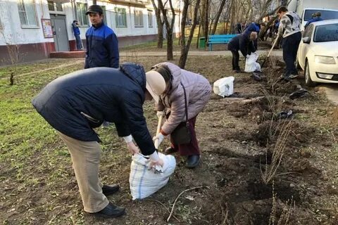 Гольяново последние новости