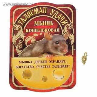 Хомяк какие буквы