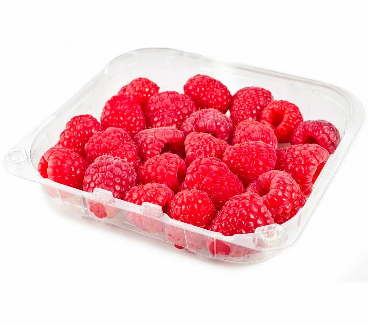 малина гигант московский. малина ремонтантная афоризмы и цитаты. малиновое дерево глен ампл. комплект малина. ремонтантная малина сады россии каталог.