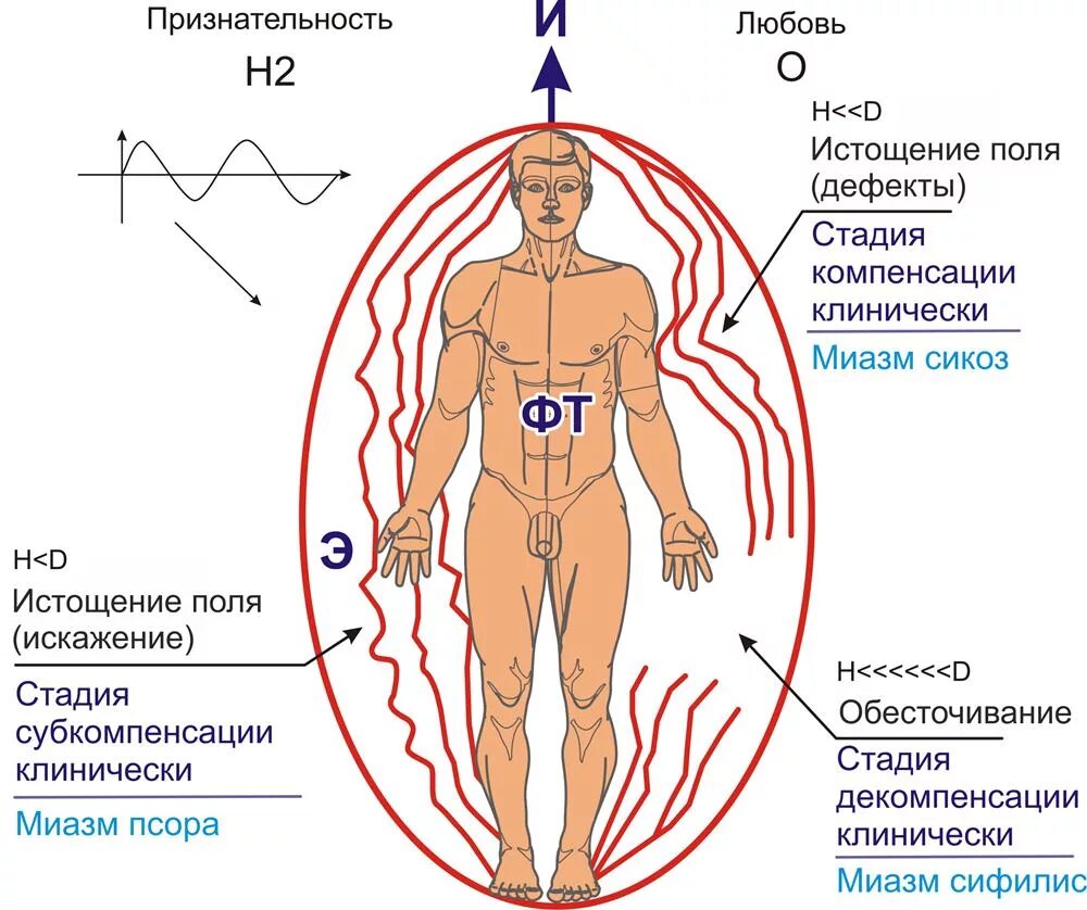 Ментальное определение. Ментальное здоровье. Ментальное состояние личности. Иллюстрации здоровье ментальное здоровье. Ментальное здоровье инфографика.