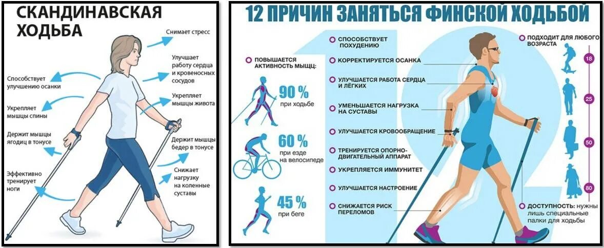 Сколько идти до работы пешком. Техника скандинавской ходьбы. Скандинавская ходьба техника ходьбы. Здоровье Скандинавская ходьба. Хождение с палками для скандинавской ходьбы.