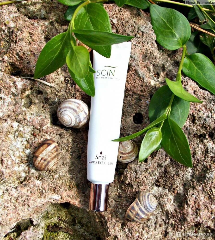 Snail matrix. Scinic крем для кожи вокруг глаз Snail Matrix Eye Cream. Scinic крем для глаз антивоз с филтратом слизи улитки 30 мл. Крем для глаз с муцином улитки Snail Matrix Eye Cream от Scinic (30 мл). Крем для век fortheskin Bio-Ceramide Matrix Eye Cream (30мл).