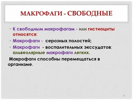 Свободные макрофаги