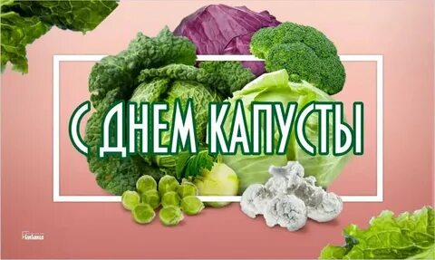 День капусты 16 ноября