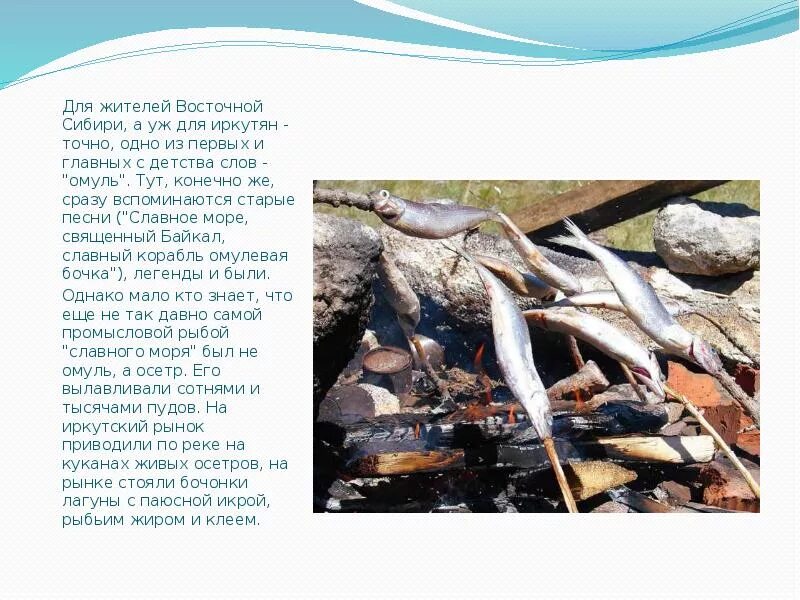 Рыбные ресурсы восточной сибири. Рыбы Восточно Сибирского моря. Промысловые рыбы восточного Сибирского моря. Какие рыбы водятся в Восточно Сибирском море. Восток Сибирское море промысловые рыбы.
