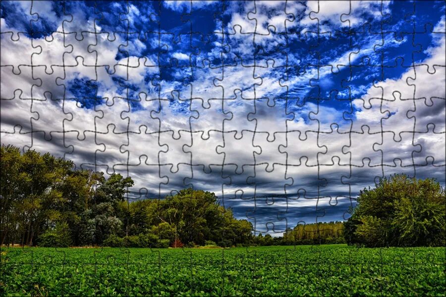 Cloud field