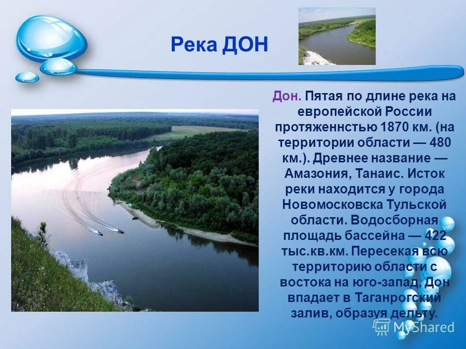 5 предложений о реках