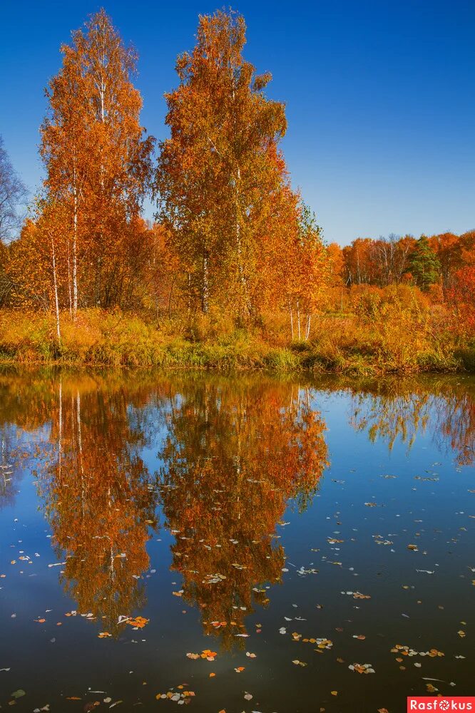 дхз кинешма кинотеатр. октябрь фото. осень октябрь. осень октябрь. нп октябрь.