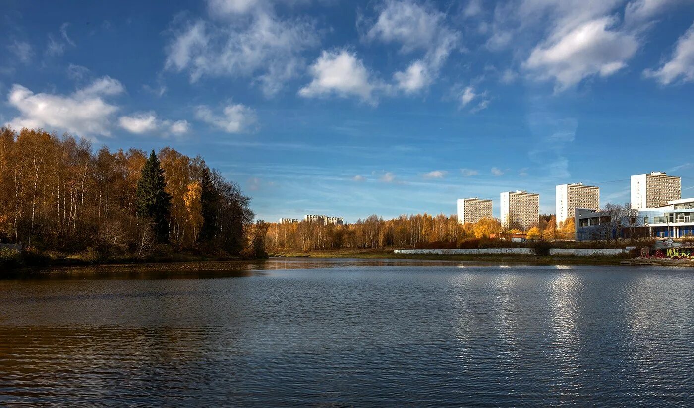 Г озера москва. Школьное озеро Зеленоград. 10 Микрорайон Зеленоград школьное озеро. Школьный пруд Зеленоград. Ангстрем Зеленоград озеро.