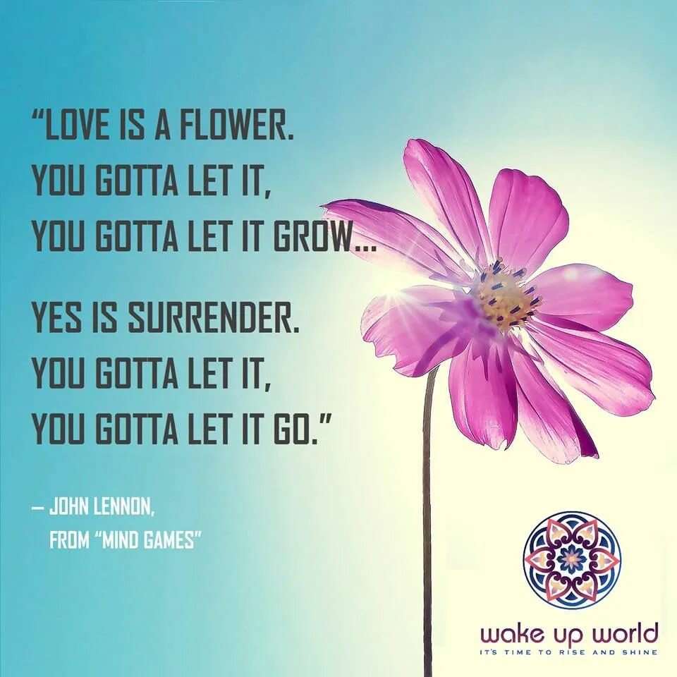 Be a flower монолог. John Lennon Flower. Цитаты про цветы. Высказывания про цветы сборники. Любовь это цветок который нужно поливать.