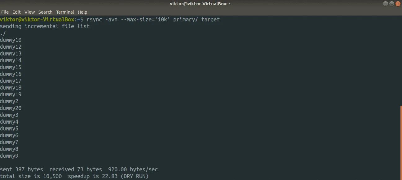 Rsync линукс. Skipping rsync directory.