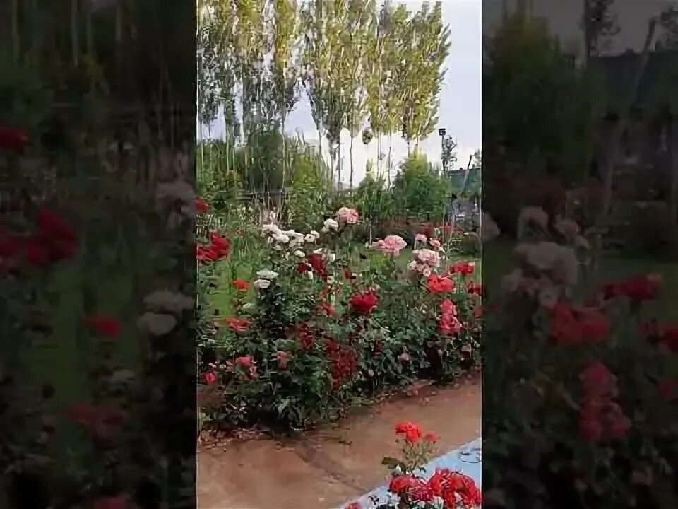 Ба ичора дода мешавад. Ба ичора дода мешавад