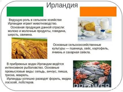 Отрасли промышленности ирландии
