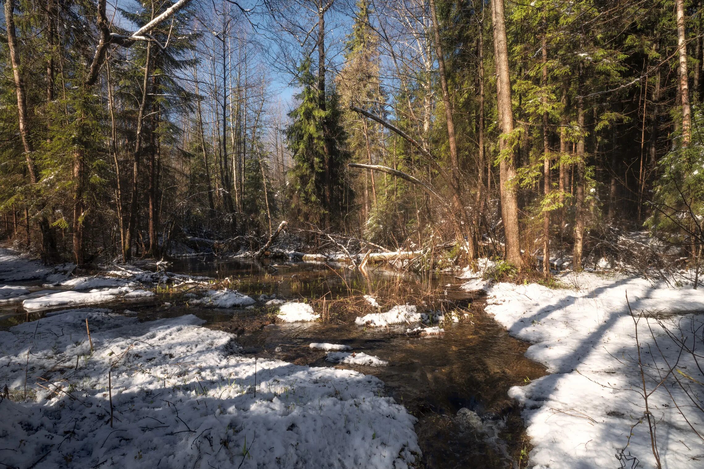 Ранняя весна. Ручейки весной. Весна ручьи. Ранняя весна в лесу. Вешний ручей.