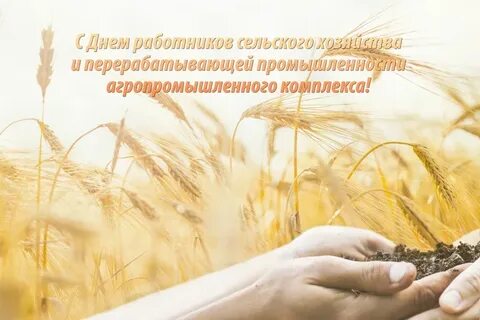 День работников сельского хозяйства в 2023 беларусь
