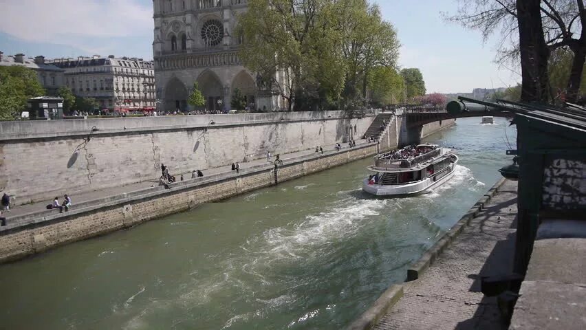 Стоки 2023. Париж Сите Фальгьер. Картина Paris notre Dame, et la seine leyendas. La seine видео.