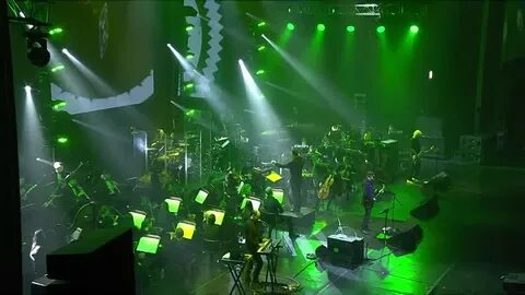 Рен тв благотворительный концерт пикник