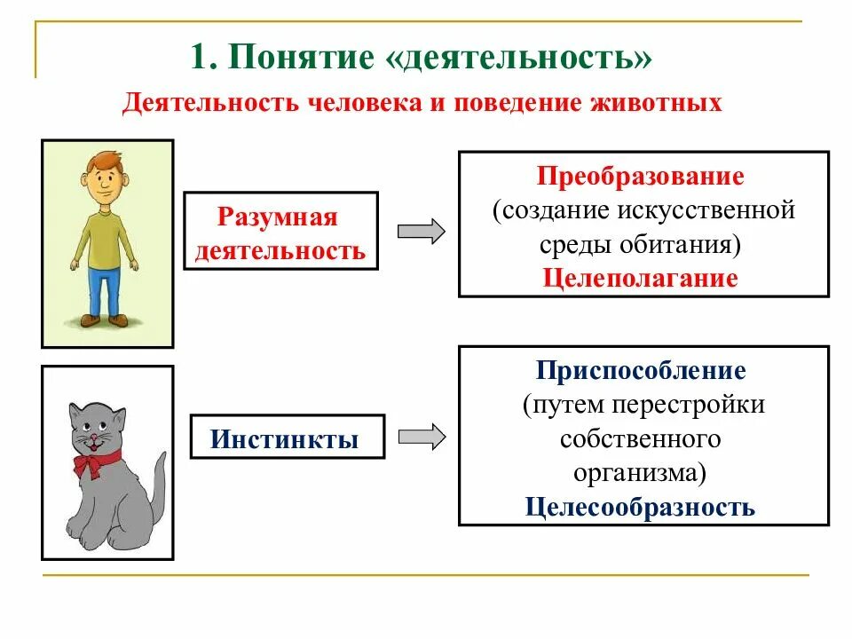 Человек в политическом измерении проект Урок личность в группе 10 класс обществознание - Telegraph