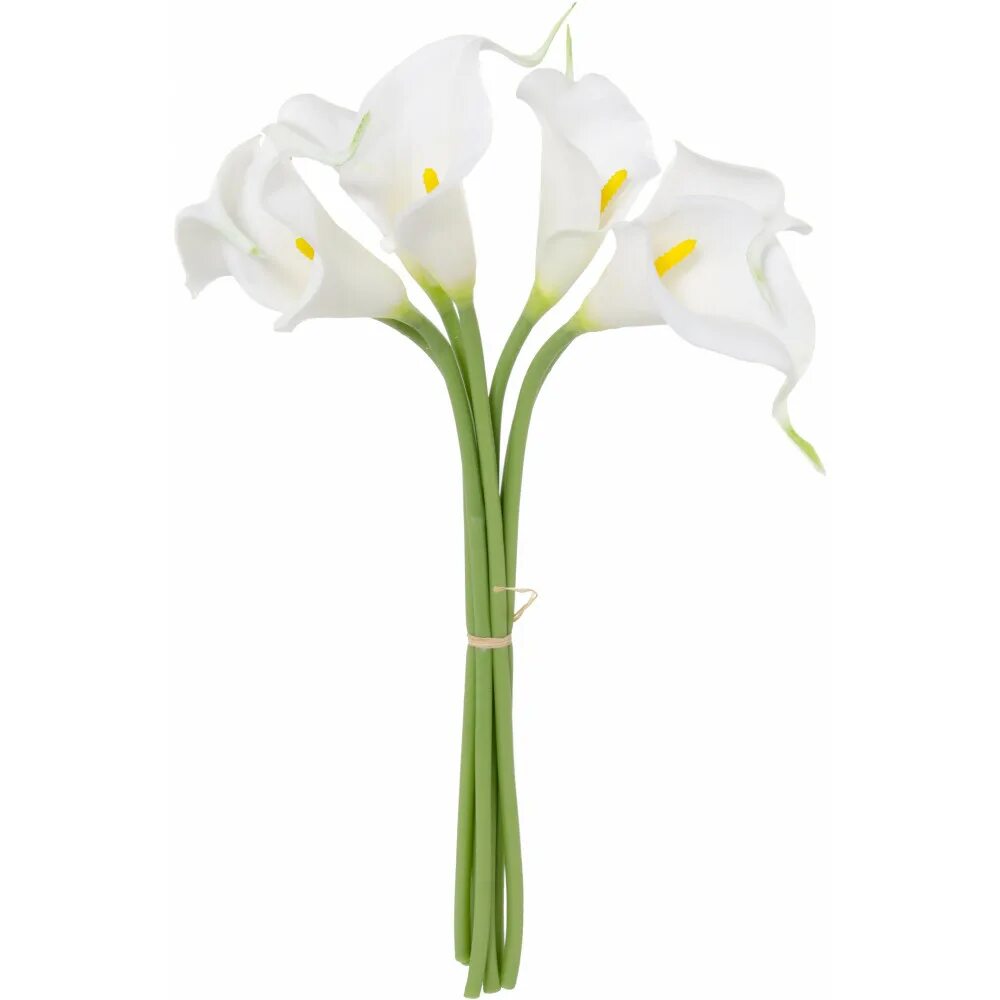 Https www calla ly gb tampliners. Calla Lilies букет. Лилли кала. Miracle Lily Flower Kuchenland. Calla Lily Round Plate.