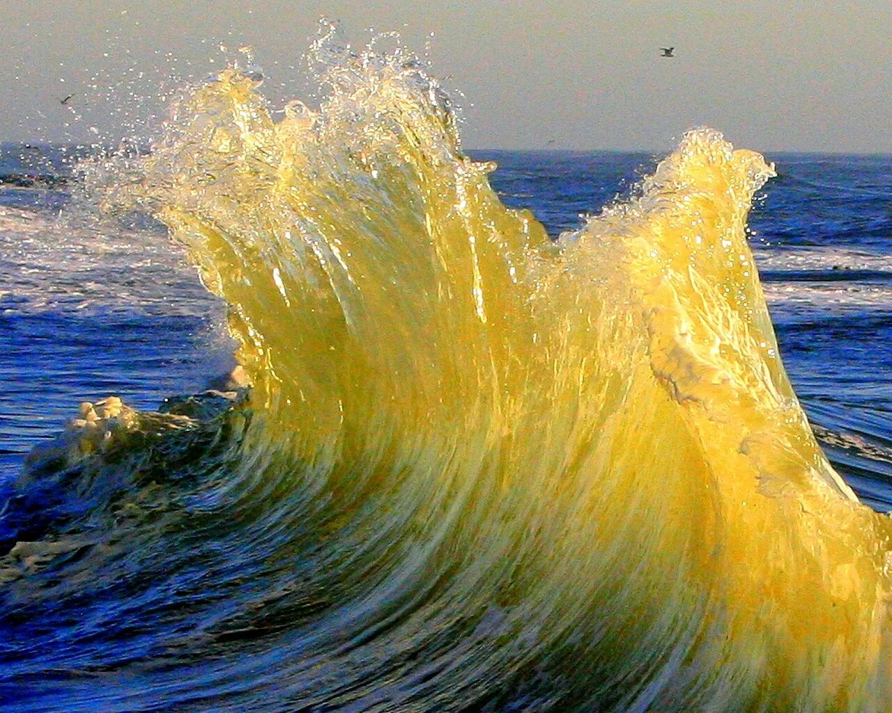 Красота моря. Море, волны. Удивительная красота моря. Красота морских волн. Пенные гребни волн