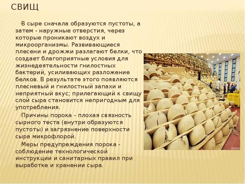 Пороки сыра фото с описанием Пороки рисунка сыра