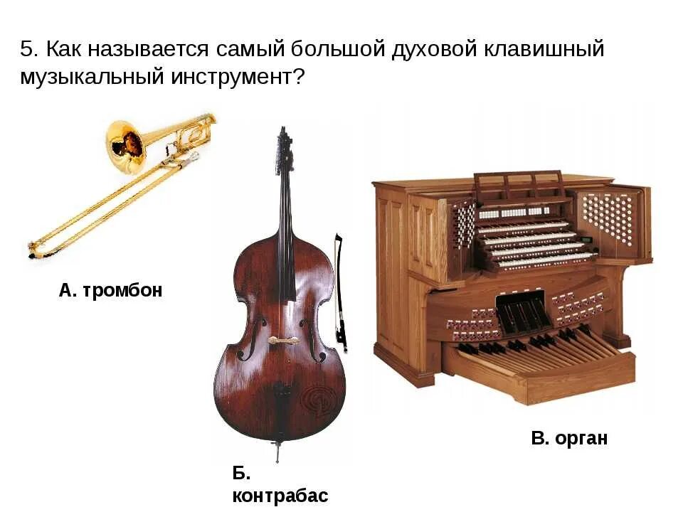 Почему инструменты дорогие. Клавишно-духовой музыкальный инструмент 5. самый большой духовой клавишный музыкальный инструмент?. музыкальные инструменты струнные духовые ударные клавишные. клавишно-духовые музыкальные инструменты названия.