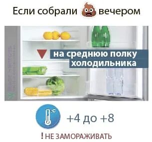 Холодильник для хранения анализов. Холодильник для хранения кала. Кал в холодильнике для анализа. Как хранить кал для анализа. Кал можно держать в холодильнике