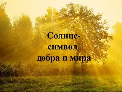 Солнце лучший сайт
