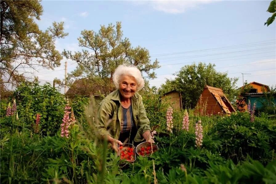 Бабки рассказы в деревне