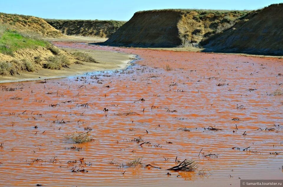 Речная соль. Горькая речка Баскунчак. Баскунчак красная река. Горькая речка Астрахань. Соленая река.